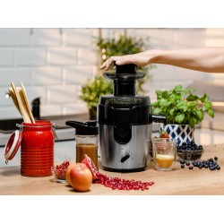 Juicer ZELMER ZJE4800 