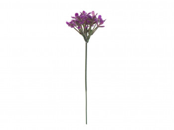 Ծաղիկներ MAGAMAX E4-F FOREST VIOLET(B210) 