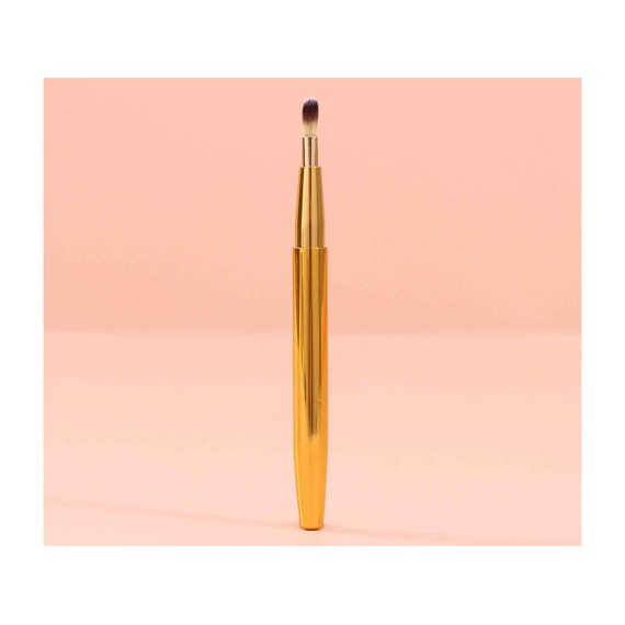 Makeup accessories XIMI 6931664189654 LIP BRUSH (189654)