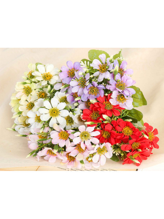 Ծաղիկներ SIMA-LAND CHAMOMILE 3933339