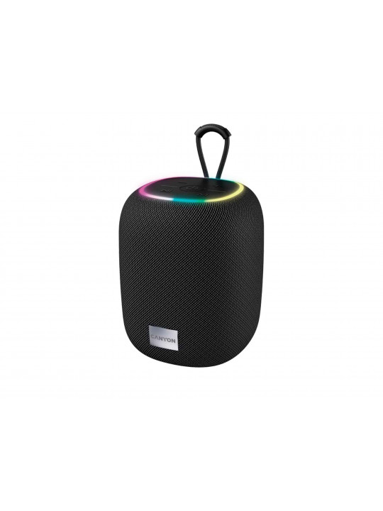 Bluetooth speaker CANYON CNE-CBTSP8B 