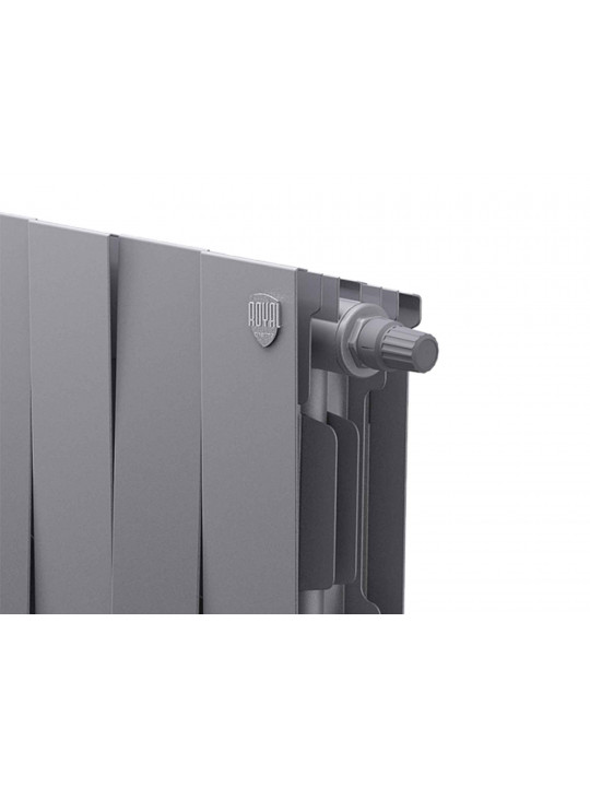 Ջեռուցման ռադիատորներ ROYAL THERMO PIANOFORTE 200 SILVER SATIN 