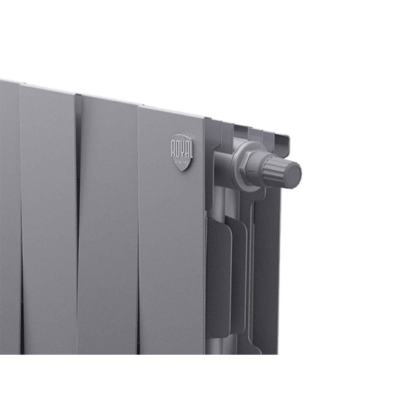 Heating radiators ROYAL THERMO PIANOFORTE 200 SILVER SATIN 