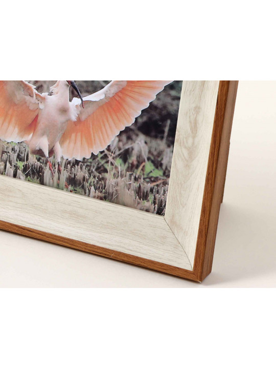 Picture frames XIMI 6936706483219 APRICOT
