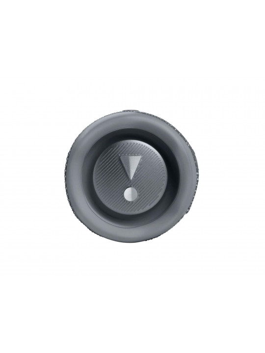 Bluetooth speaker JBL Flip 6 (GR) 