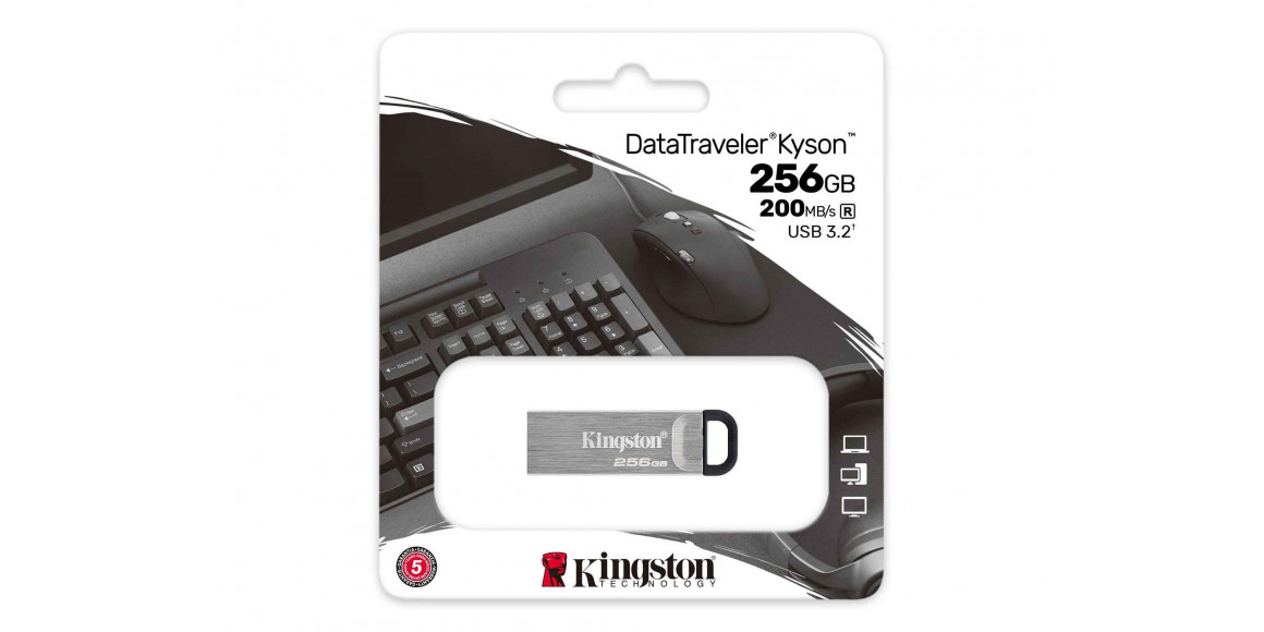 Ֆլեշ հիշողություններ KINGSTON DTKN/256GB 