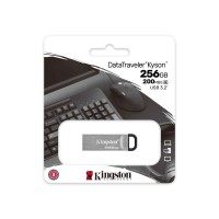 Flash drive KINGSTON DTKN/256GB 