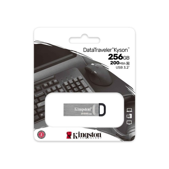 Флеш накопители KINGSTON DTKN/256GB 