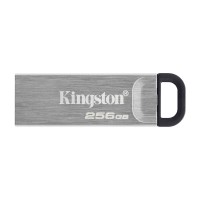 Flash drive KINGSTON DTKN/256GB 
