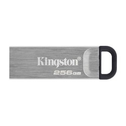 Флеш накопители KINGSTON DTKN/256GB 