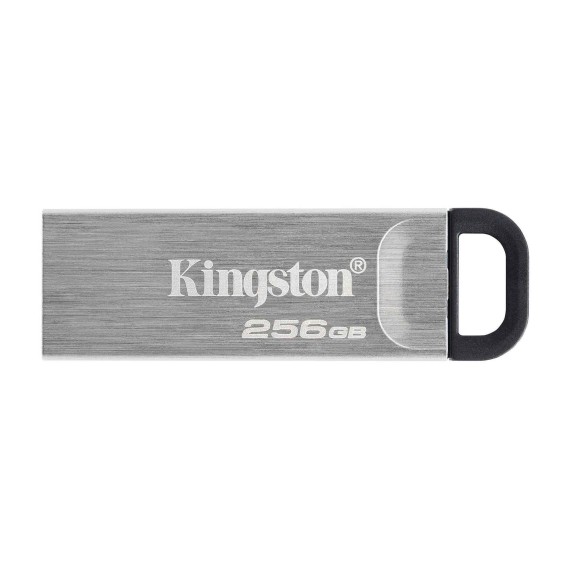 Флеш накопители KINGSTON DTKN/256GB 