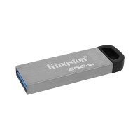 Flash drive KINGSTON DTKN/256GB 