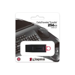 Флеш накопители KINGSTON DTX/256GB 