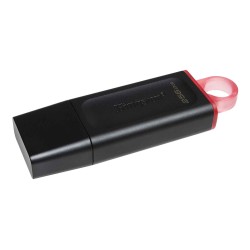 Флеш накопители KINGSTON DTX/256GB 