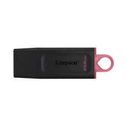 Флеш накопители KINGSTON DTX/256GB 