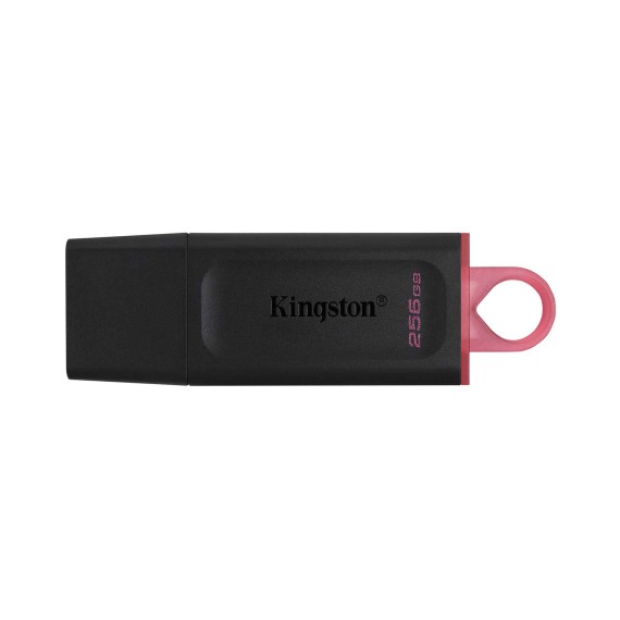Ֆլեշ հիշողություններ KINGSTON DTX/256GB 