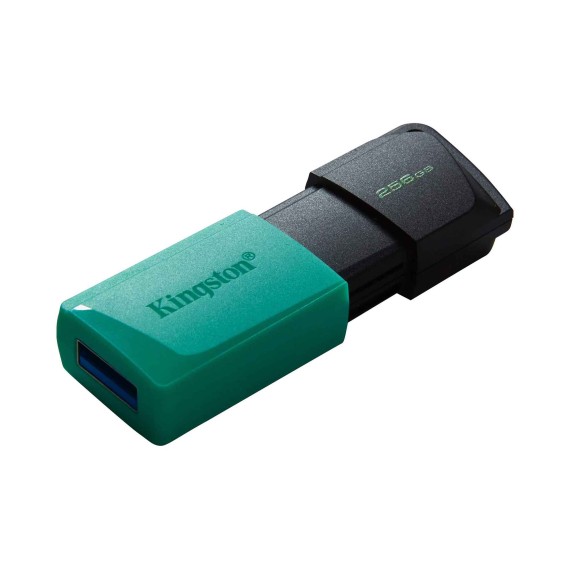 Ֆլեշ հիշողություններ KINGSTON DTXM/256GB 