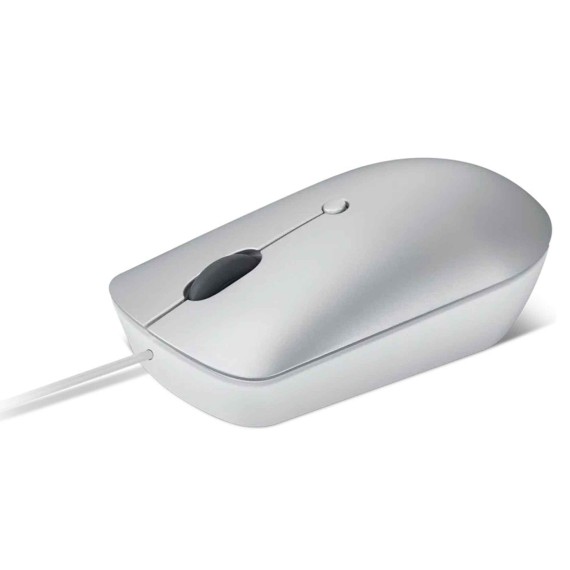 Mouse LENOVO 540 USB-C Wired Compact (Cloud Grey) (GY51D20877)