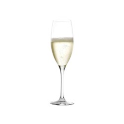 Cup STOLZLE LAUSITZ 200 00 29 CHAMPAGNE CLASSIC 240ML (118479)