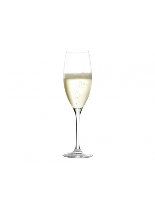 Cup STOLZLE LAUSITZ 200 00 29 CHAMPAGNE CLASSIC 240ML 118479