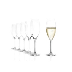 Cup STOLZLE LAUSITZ 200 00 29 CHAMPAGNE CLASSIC 240ML (118479)