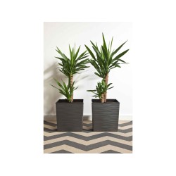 Flower pot LAMELA LA601-50 DONICA JUKA DUTO 400X400 GRAPHITE METALLIC 