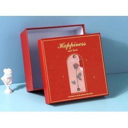 Gift boxes XIMI 6936706478550 M (478550)