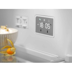 Холодильник ELECTROLUX RNT7ME34G1 
