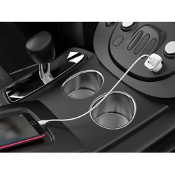 Car charging devices BOROFONE  BZ12 (708663-59)
