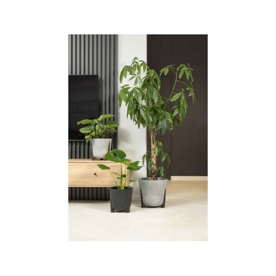 Ծաղկի զամբյուղ LAMELA LA209-27 FRIDA ROUND 210 GRAY 