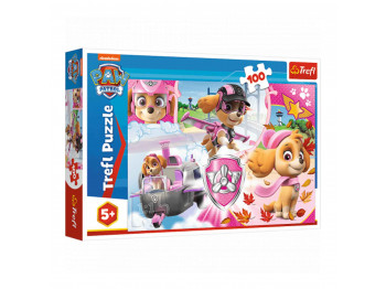 Գլուխկոտրուկ եվ խճանկար TREFL TR100-CMB 100 16368 SKYE IN ACTION / PAW PATROL 