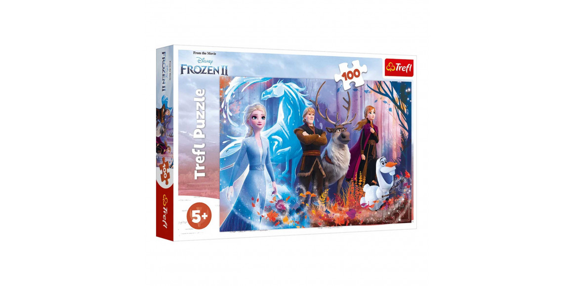 Գլուխկոտրուկ եվ խճանկար TREFL TR100-CMB 100 16366 MAGIC OF FROZEN 