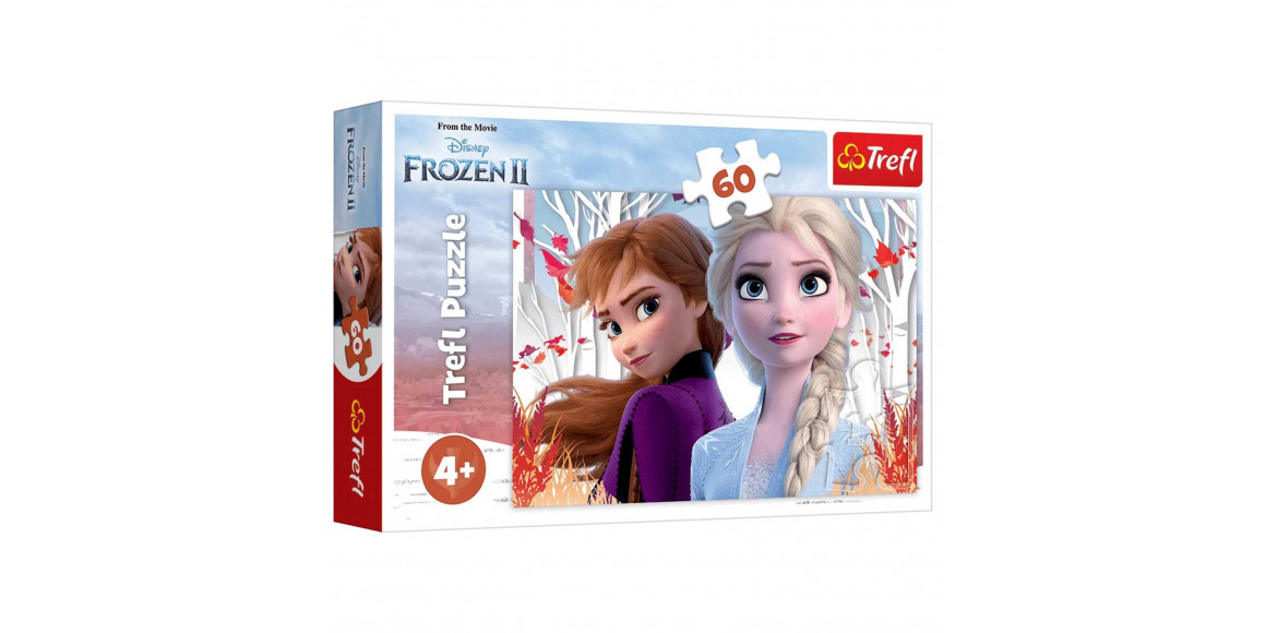 Գլուխկոտրուկ եվ խճանկար TREFL TR60-CMB 60 17333 THE ENCHANTED WORLD OF ANNA AND ELSA 