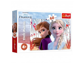 Գլուխկոտրուկ եվ խճանկար TREFL TR60-CMB 60 17333 THE ENCHANTED WORLD OF ANNA AND ELSA 