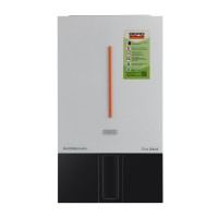 Газовый котел BERG TRIO 24CD 