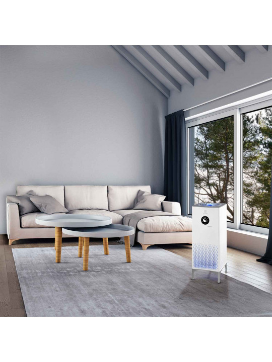 Air purifiers ELECTROLUX EAP-2075D YIN &YANG 