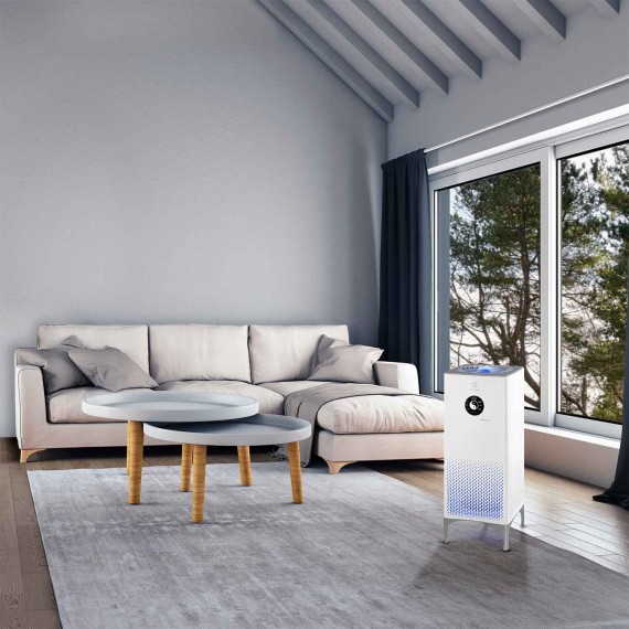 Очистители воздуха ELECTROLUX EAP-2075D YIN &YANG 