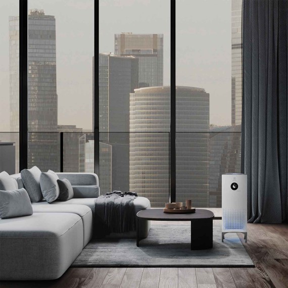 Очистители воздуха ELECTROLUX EAP-2075D YIN &YANG 