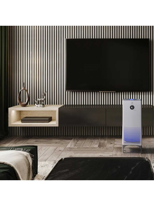 Air purifiers ELECTROLUX EAP-2050D YIN &YANG 