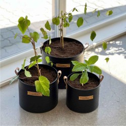 Декоративные акссесуары KOOPMAN FLOWER POT BLACK SET3 (HZ1953070)