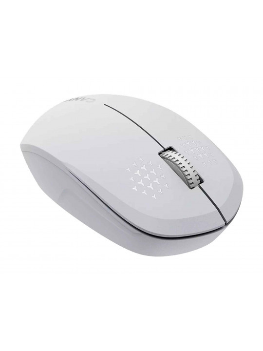 Mouse CANYON CNS-CMSW04W 