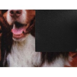 Mat VORTEX 24217 50X80CM SAMBA MOISTURE-ABSORBENT DOGS IN HAMMOK 