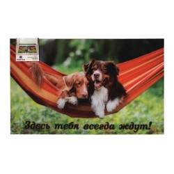 Mat VORTEX 24217 50X80CM SAMBA MOISTURE-ABSORBENT DOGS IN HAMMOK 