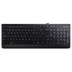 Keyboard LENOVO 300 USB Combo Keyboard & Mouse RU Layout (Black) (GX30M39635)
