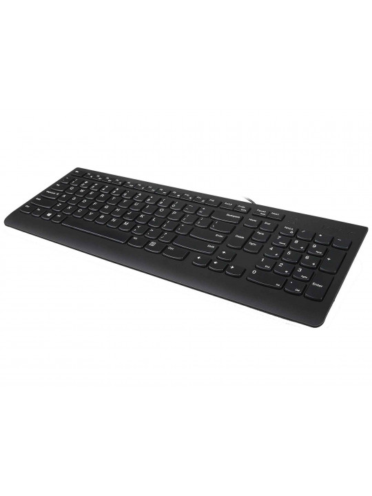 Клавиатура LENOVO 300 USB COMBO GX30M39635