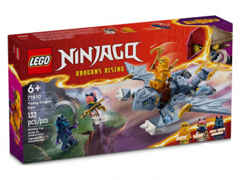 Կոնստրուկտոր LEGO 71810 NINJAGO ԵՐԻՏԱՍԱՐԴ ՎԻՇԱՊ ՌԻՅՈՒ 