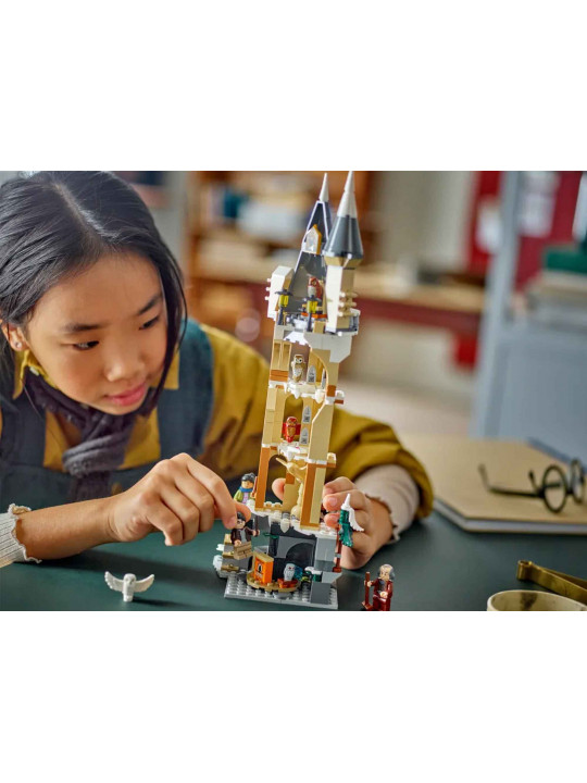 Կոնստրուկտոր LEGO 76430 HARRY POTTER HOGWARTS™ ՕՈՒԼԵՐԻ ԱՄՐՈՑԸ 