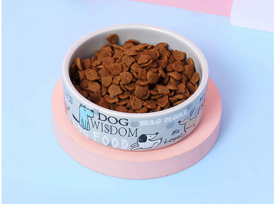 Accessories for animals XIMI 6942156256457 BOWL