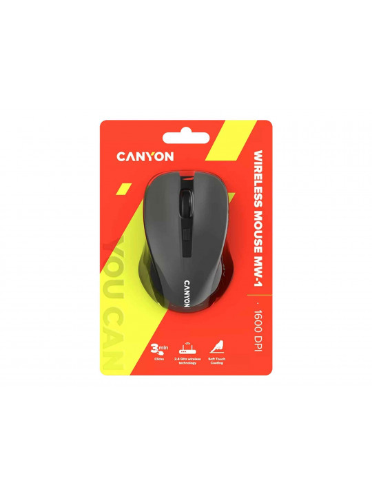 Компьютерные мыши CANYON CNE-CMSW1G 