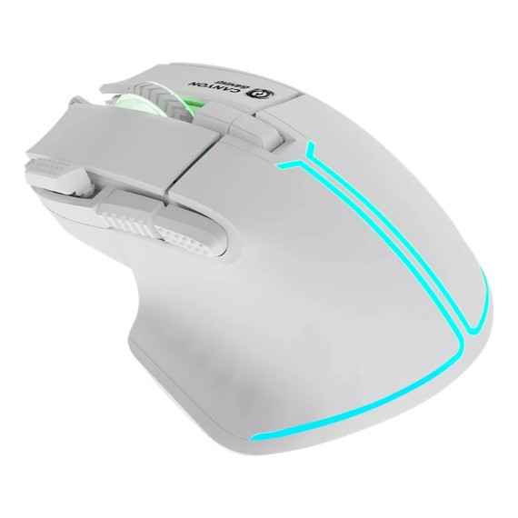 Компьютерные мыши CANYON CND-SGM636W 